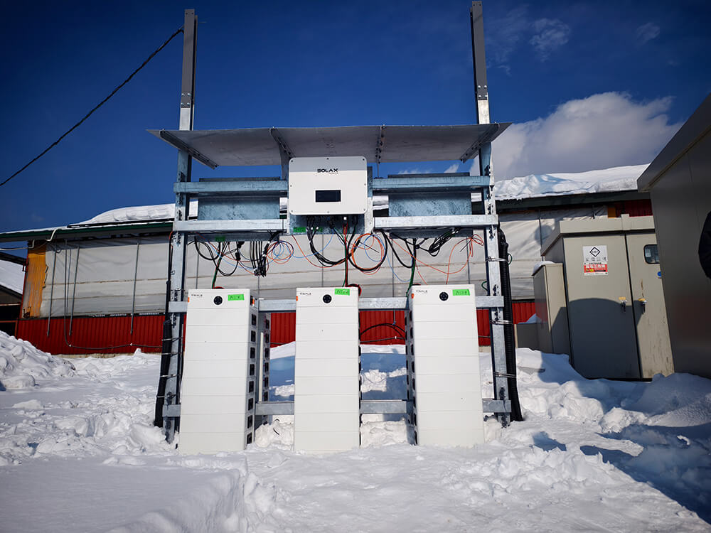 1748253305431626.jpg 23.jpg