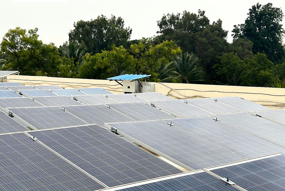 1748327077315508.jpg 100.jpg